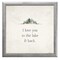 12" x 12" I Love You to the Lake & Back Framed Wall Art, Contemporary Inspirational Home Décor, Glass Facing and Hanging Hardware